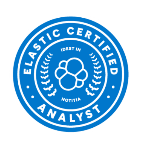 Elasticsearch Analyst